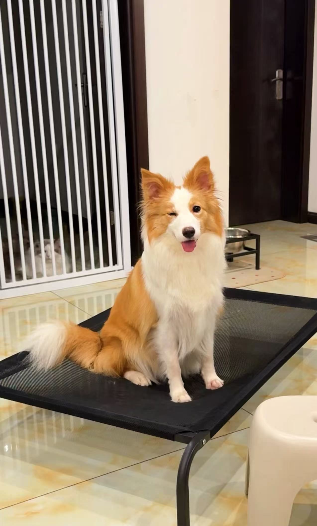 Ginsen Salon Equipment Factory